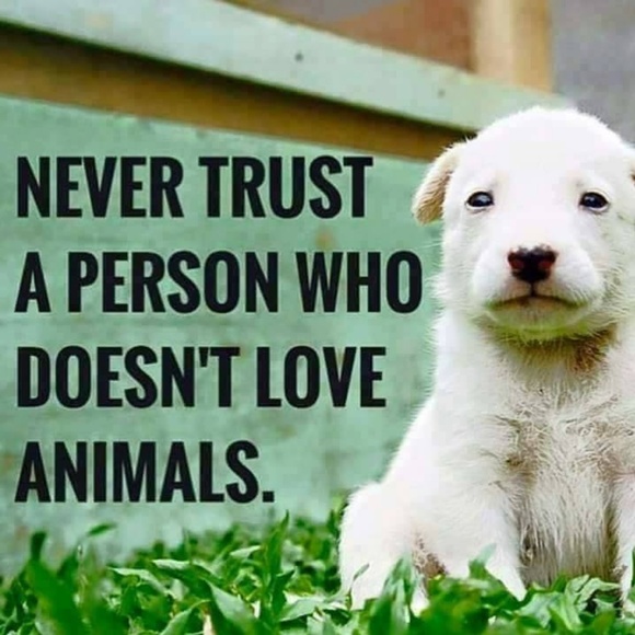 Meet your Posher, Karla Alphawolf - Picture 4 of 8